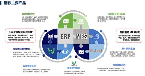 上海软件开发 机遇、挑战与未来展望